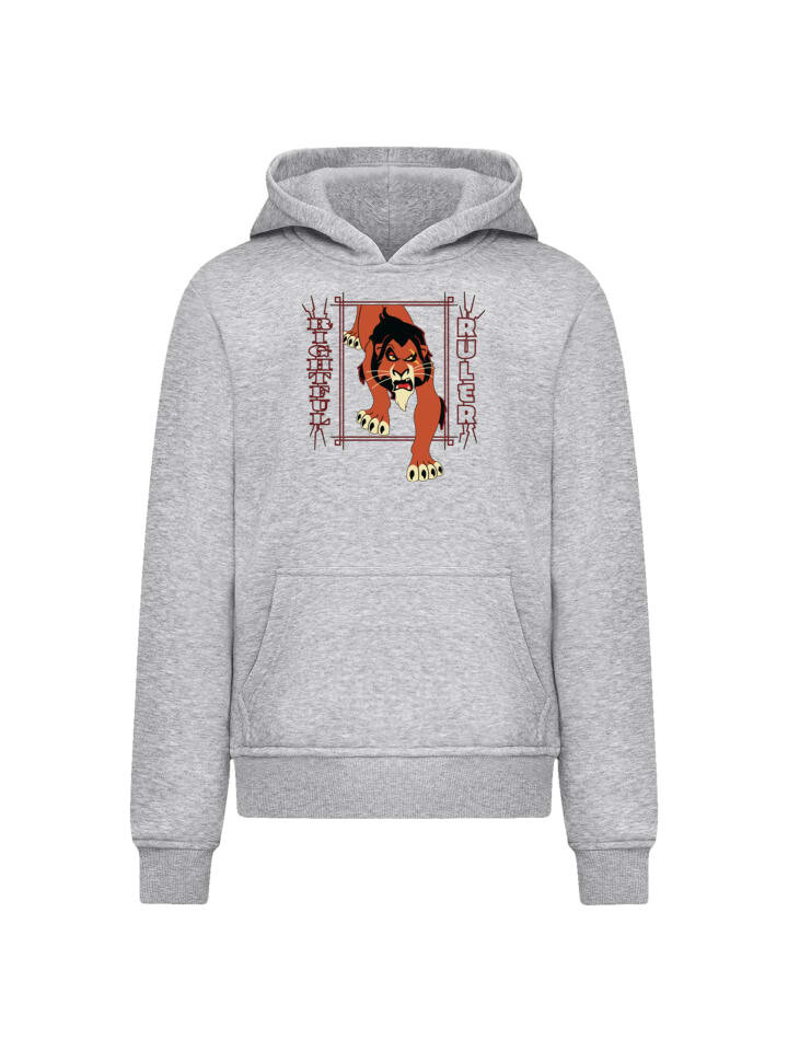 

Пуловер F4NT4STIC Hoodie Disney Bösewichte Ruler, пятнистый серый