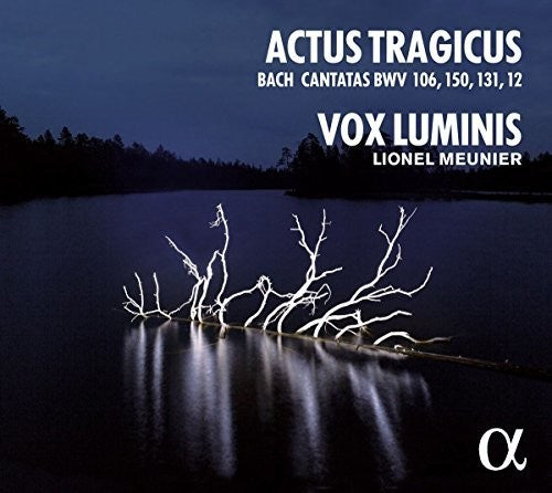 

CD диск Bach, J.S. / Luminis / Meunier: J.S. Bach: Actus Tragicus