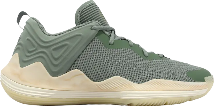 

Кроссовки D Rose Son of Chi 3 'Silver Green', зеленый