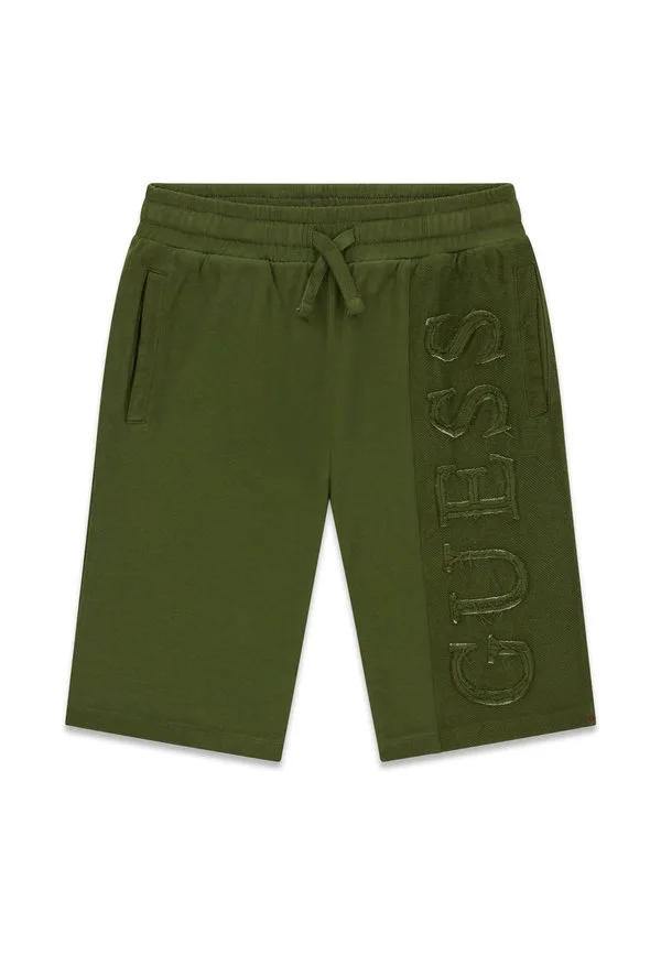 Спортивные штаны seitenlogo Guess, Grün