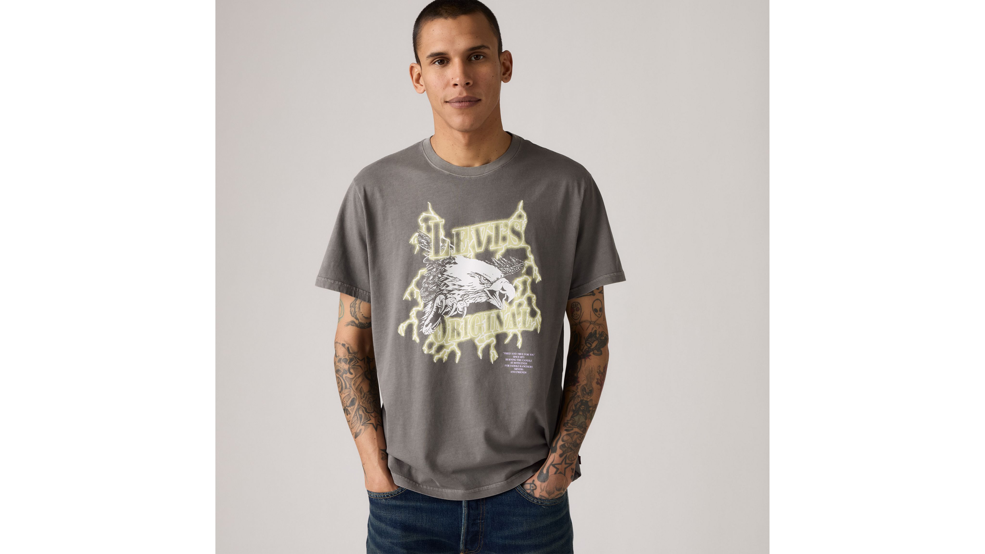 

Футболка свободного кроя с короткими рукавами и принтом Levi's, Lightning Eagle Smoked Pearl - Grey