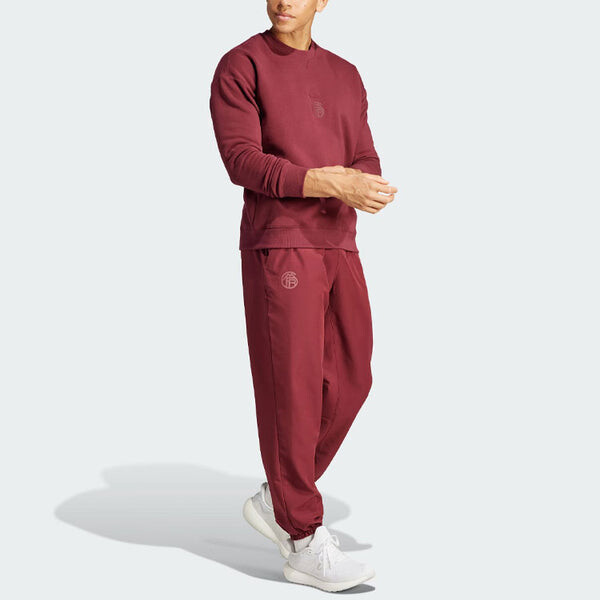 Рубашка adidas FC Bayern Lifestyler Sweatshirt 'Burgundy', цвет burgundy — фото 4