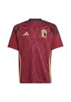 

Футболка adidas, бордовый, Красный, Футболка adidas, бордовый