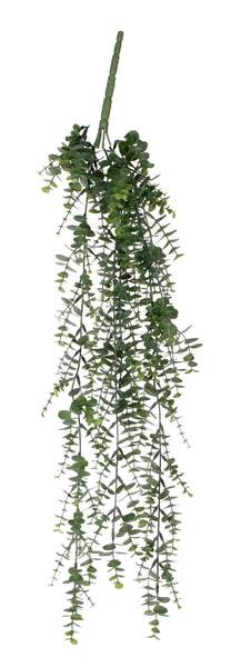 

Декоративное растение Mica Decorations Hängepflanze Eukalyptus, зеленый
