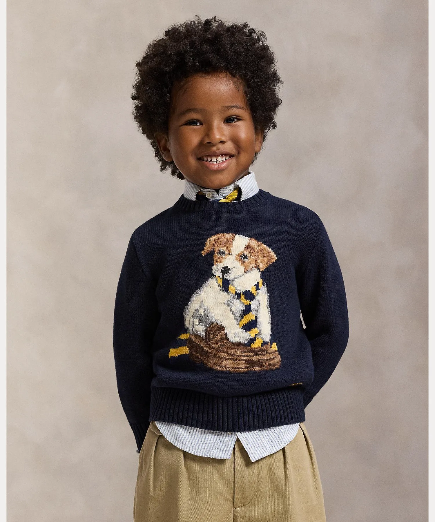(Для мальчиков, 2-7 лет) Хлопковый свитер с интарсией в виде собаки Polo Ralph Lauren, 410 Navy