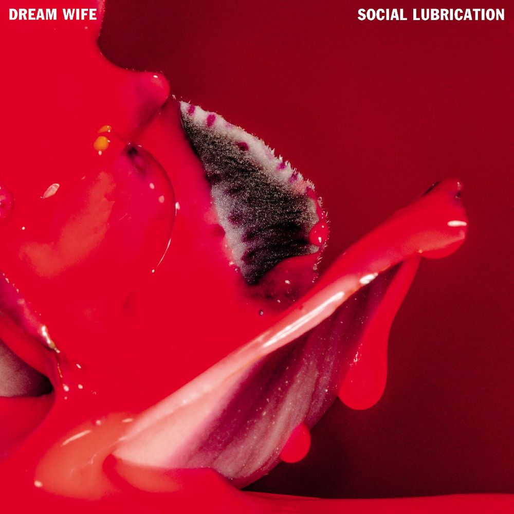 

Диск CD Social Lubrication - Dream Wife