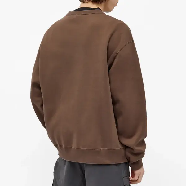 Толстовка Nike ACG Whale Crew Sweat 'Ironstone Smoke Grey', цвет tan/multi-color — фото 3