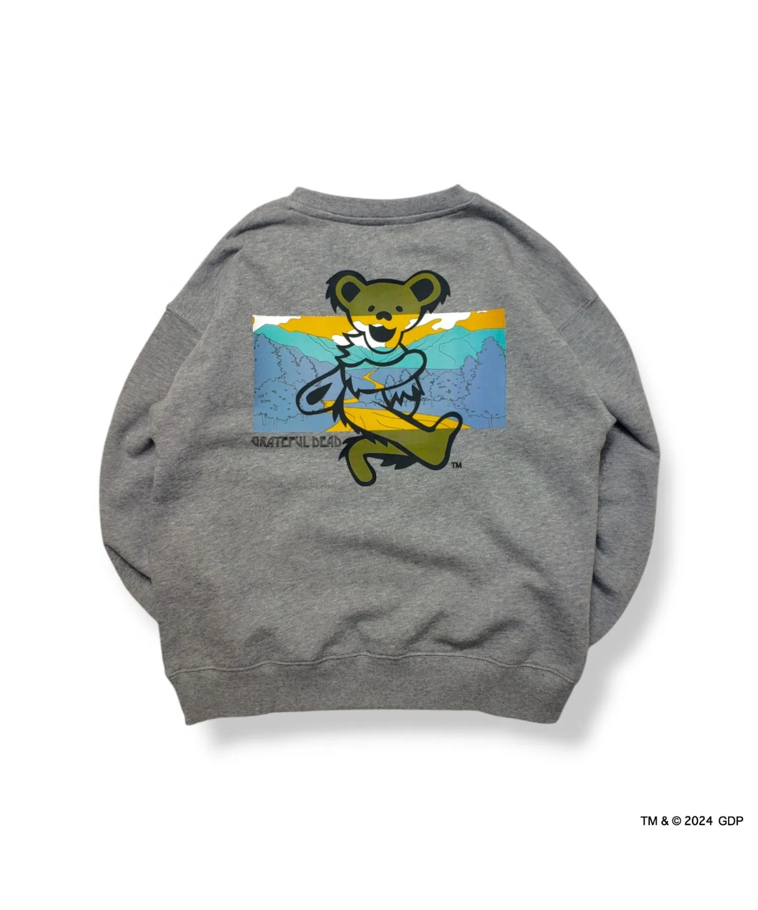 Детская толстовка RIVER SIDE CULTURE/Grateful Dead RIVERSIDE BEAR (M4) — фото 4