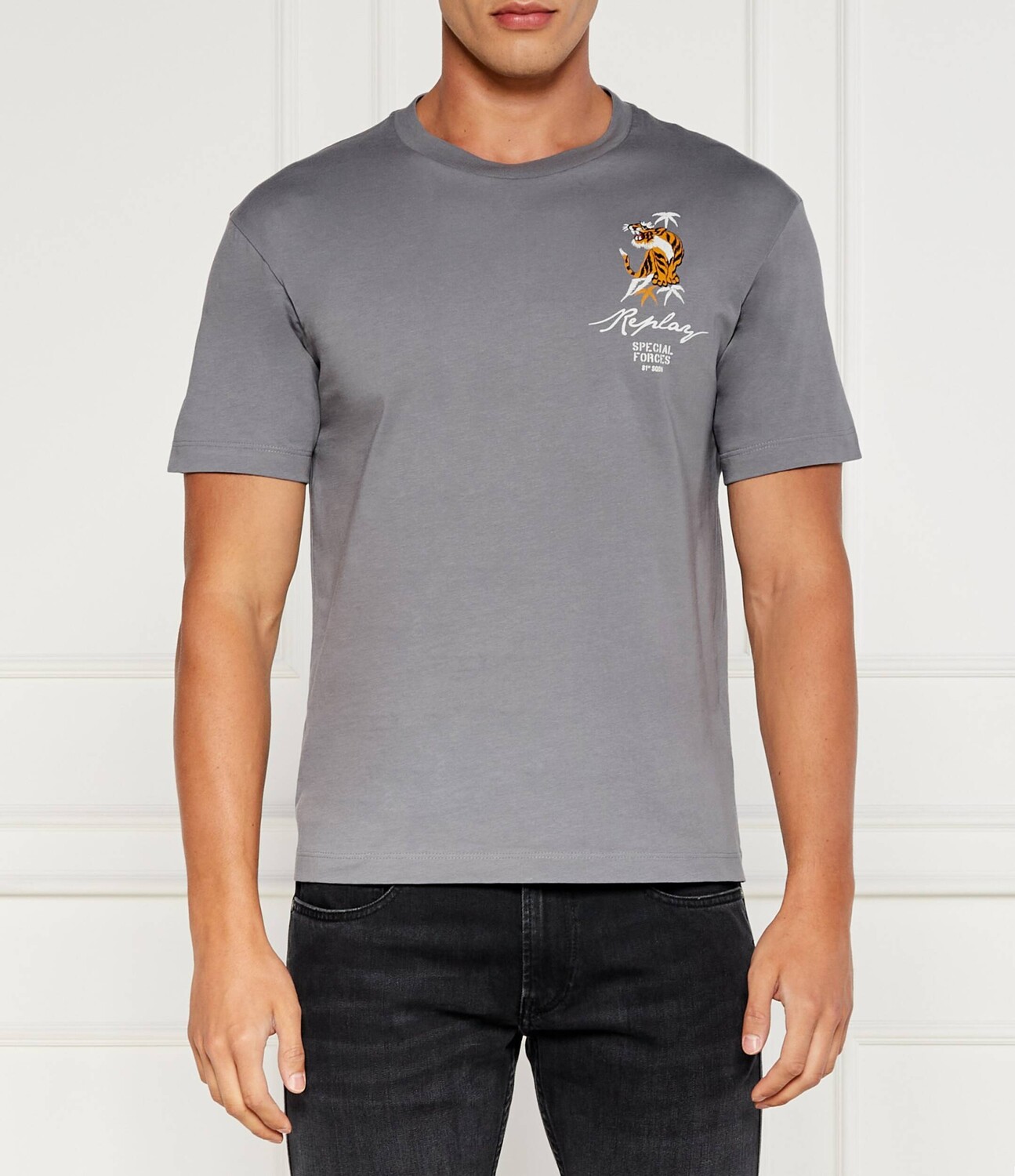 

Футболка Replay Regular Fit, пепельно-серый