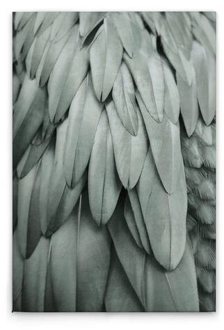 

Картина на холсте A.S. Création Feathers 2 цвет blaugrau