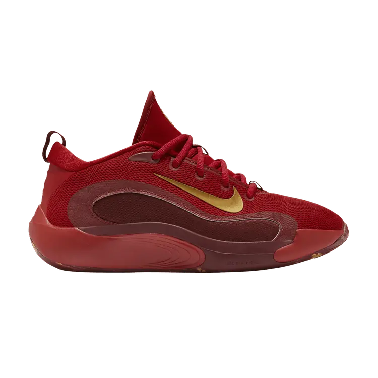 

Кроссовки Nike IsoFly GS Gym Red Metallic Gold, красный