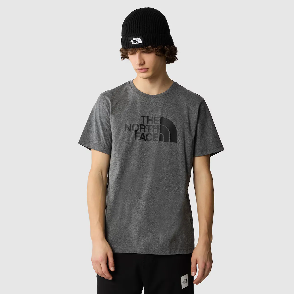 

Футболка мужская The North Face Easy, серый