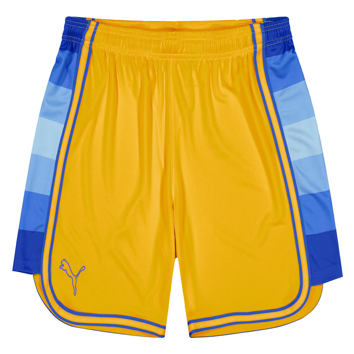 

Шорты Maccabi Tel Aviv Basketball Game Shorts Puma, цвет Gold