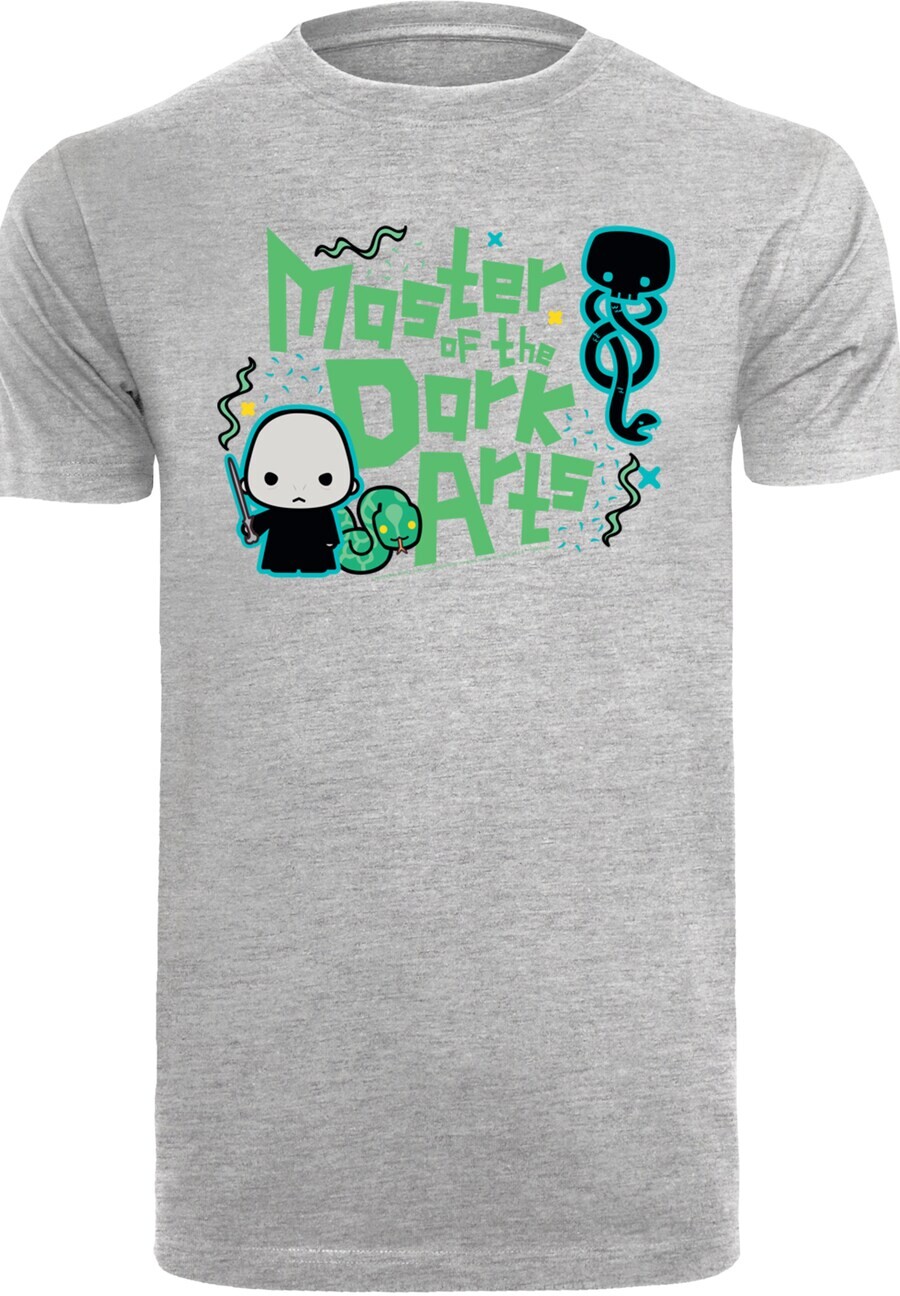 

Классическая футболка F4NT4STIC Shirt Harry Potter Voldemort Dark Arts, пятнистый серый
