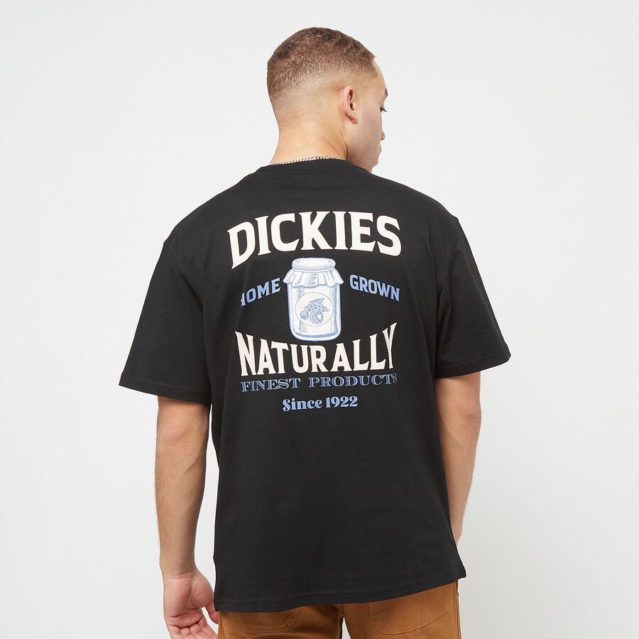 

Футболка Elliston с короткими рукавами Dickies, цвет black