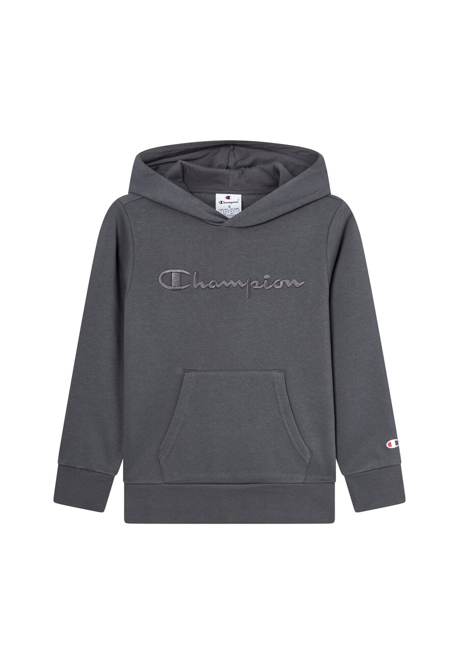 

Толстовка Champion Authentic Athletic Apparel, темно-серый