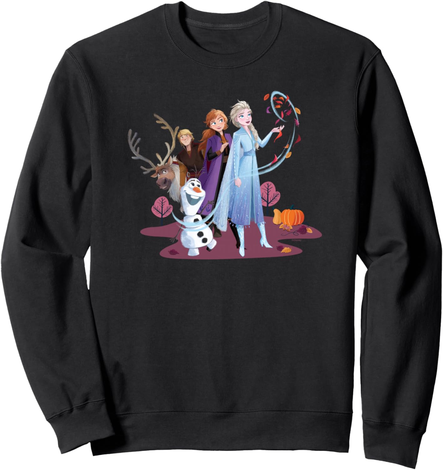 

Толстовка Disney Холодное сердце с изображением Эльзы, Анны, Олафа, Свена и Кристоффа, черная, Черный, Толстовка Disney Холодное сердце с изображением Эльзы, Анны, Олафа, Свена и Кристоффа, черная