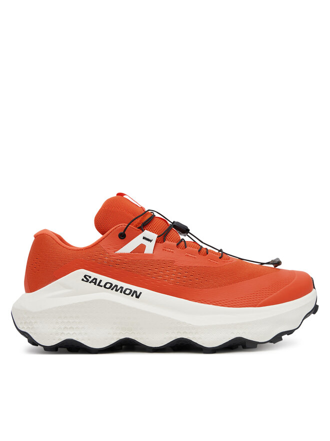 

Беговые кроссовки Salomon, красный