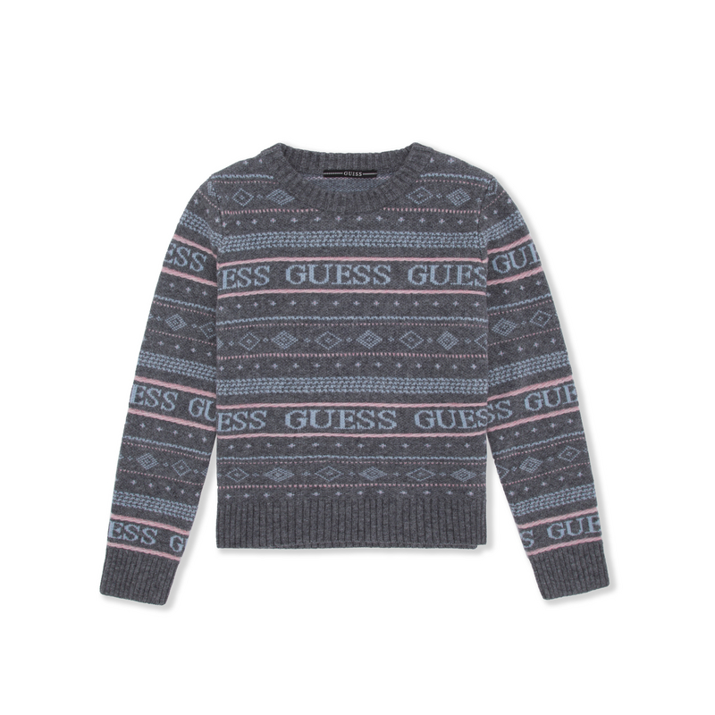 

Свитер женский с круглым вырезом Moderate Others GUESS, gry-серый logo