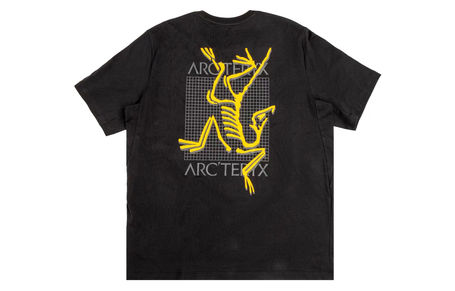 

Футболка мужская Arcteryx, черный