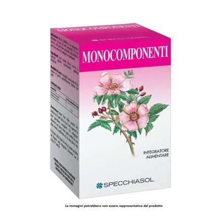 

Specchiasol Ginseng of Korea Пищевая добавка 60 капсул Specchiasol Srl