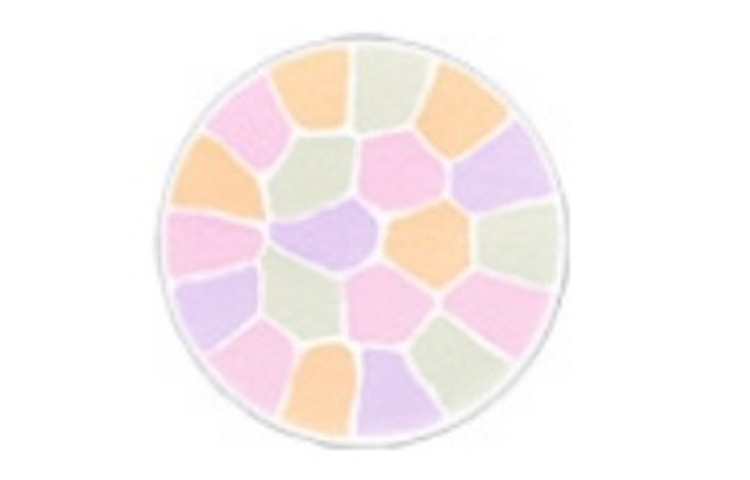 E Sized Replacement Core Portable/Family Size Powder Oil Control Complexion Correcting Skin Tone 8.8g/27g Elégance, #iii 27g — фото 4