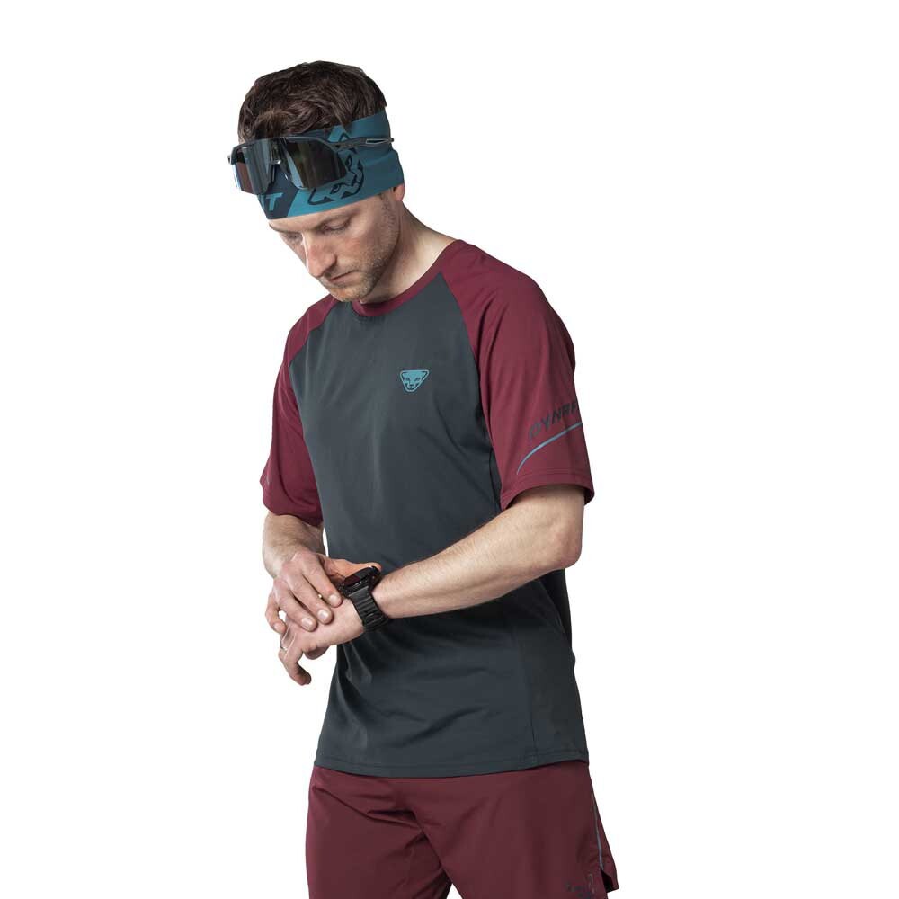 

Футболка Dynafit Alpine Pro, серый