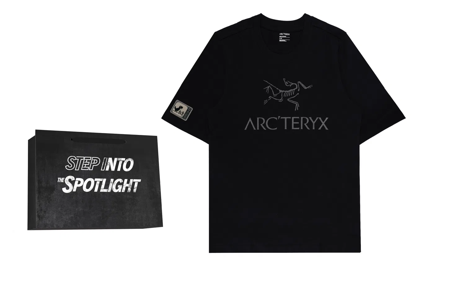 Arcteryx Футболка хлопковая IONIA Arc'teryx черная