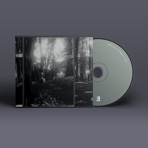 

CD диск Dale, Eyolf: THE WAYFARERS