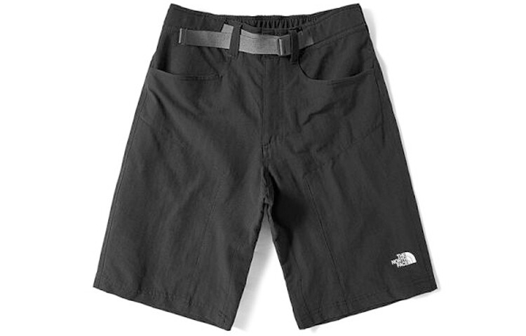 

THE NORTH FACE Мужские повседневные шорты, цвет Black