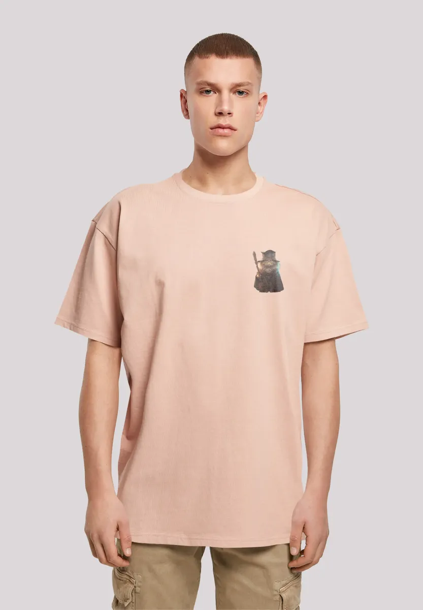 

F4NT4STIC Футболка "Wizard Cat OVERSIZE TEE", принт, цвет Amber