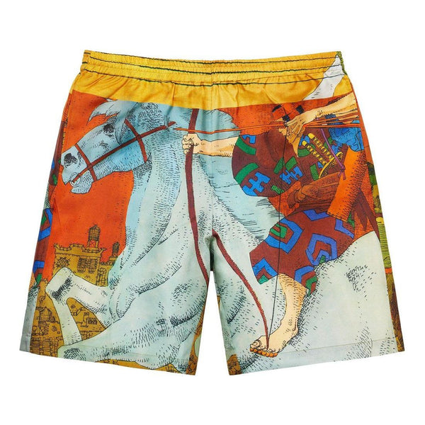 

Шорты ronin silk shorts 'multi-color' Supreme, мультиколор