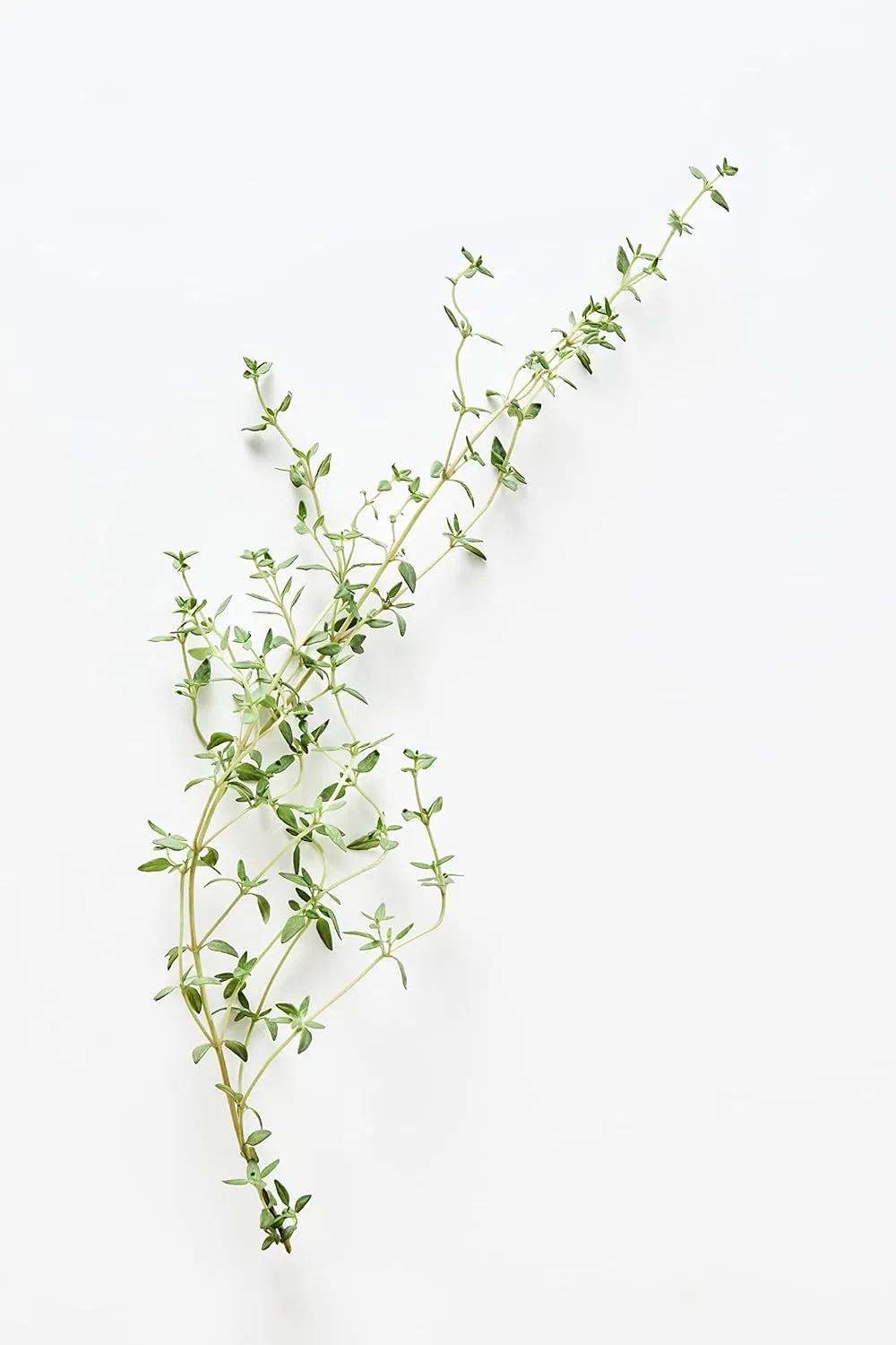 Скраб для тела Harnn Trehalose Natural Oil Almond & Thyme, 150 г — фото 3