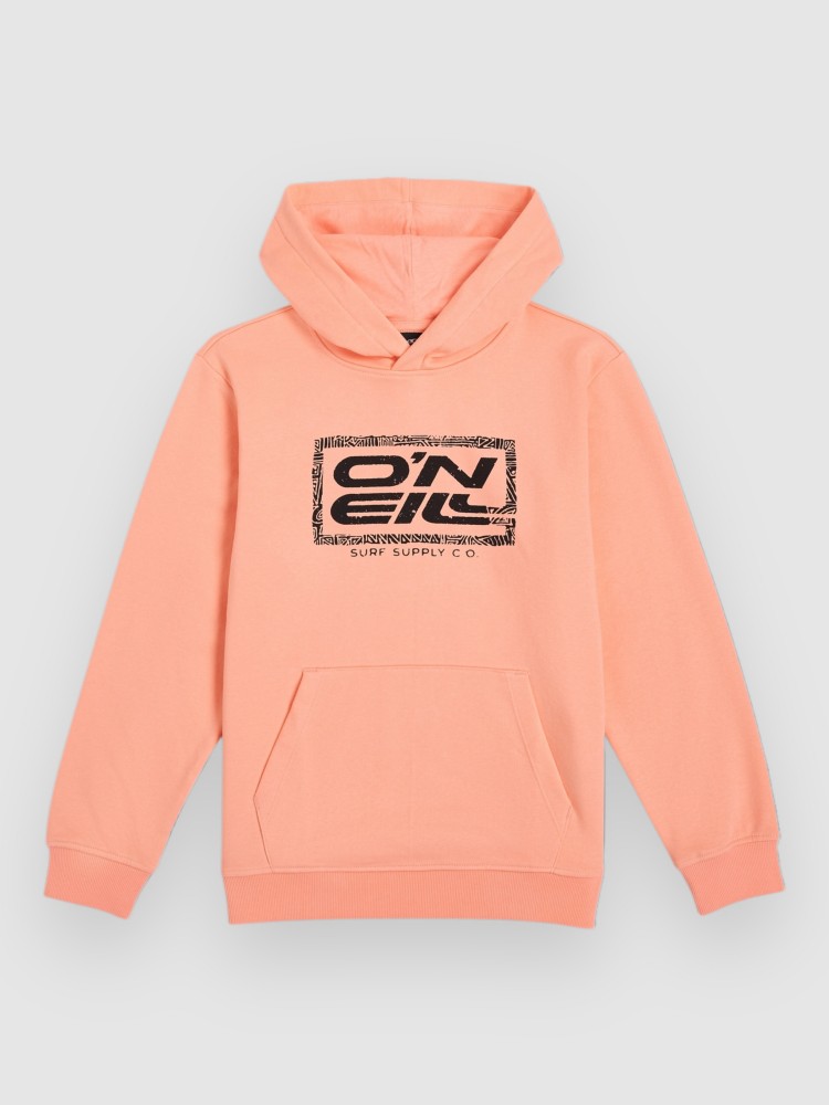 

Толстовка O'Neill Logo Kids Hoodie, coral pop