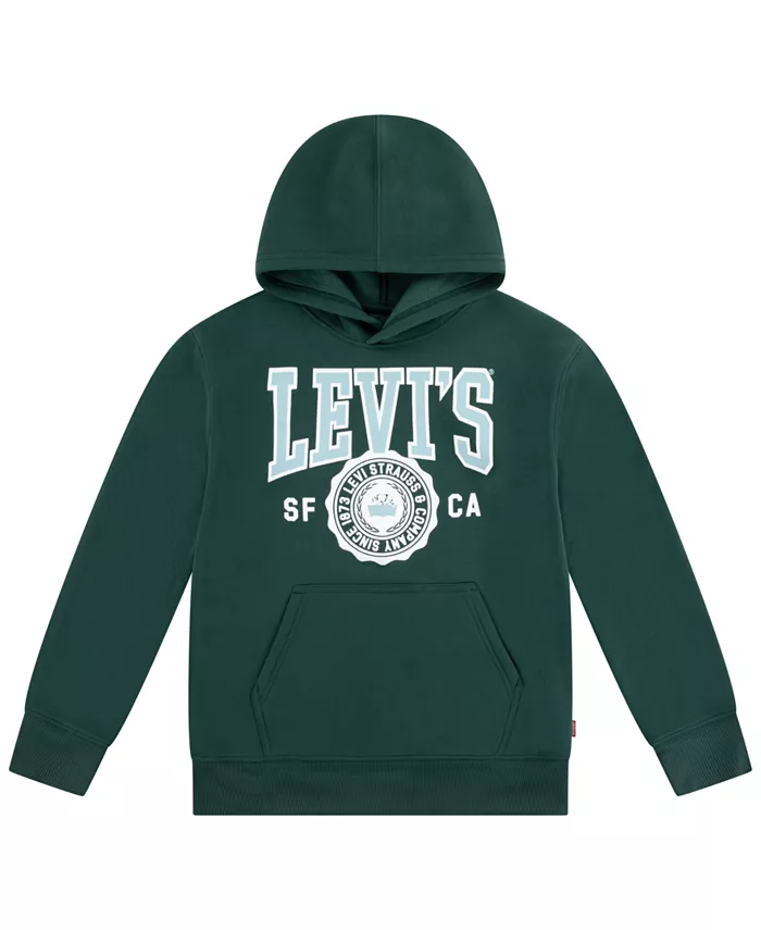 

Спортивный худи с длинным рукавом для мальчиков 8-20 Levi'S, зеленый