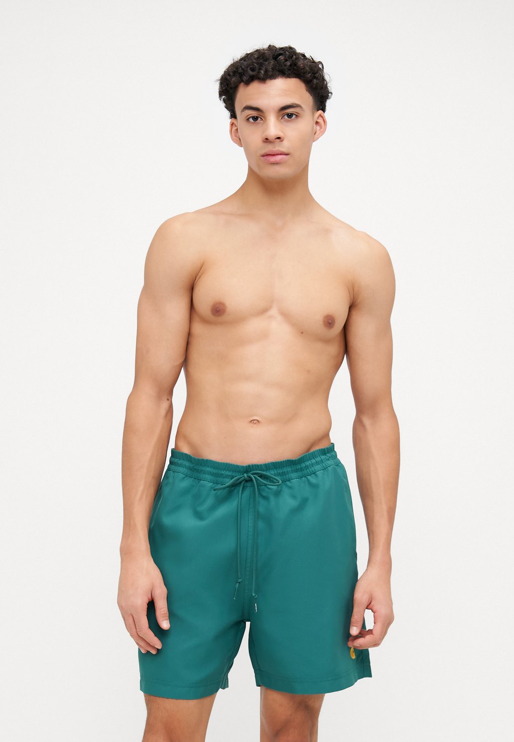 

Пляжные шорты CHASE SWIM TRUNKS Carhartt WIP, зеленый