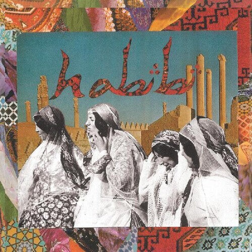

Виниловая пластинка Habibi: Habibi