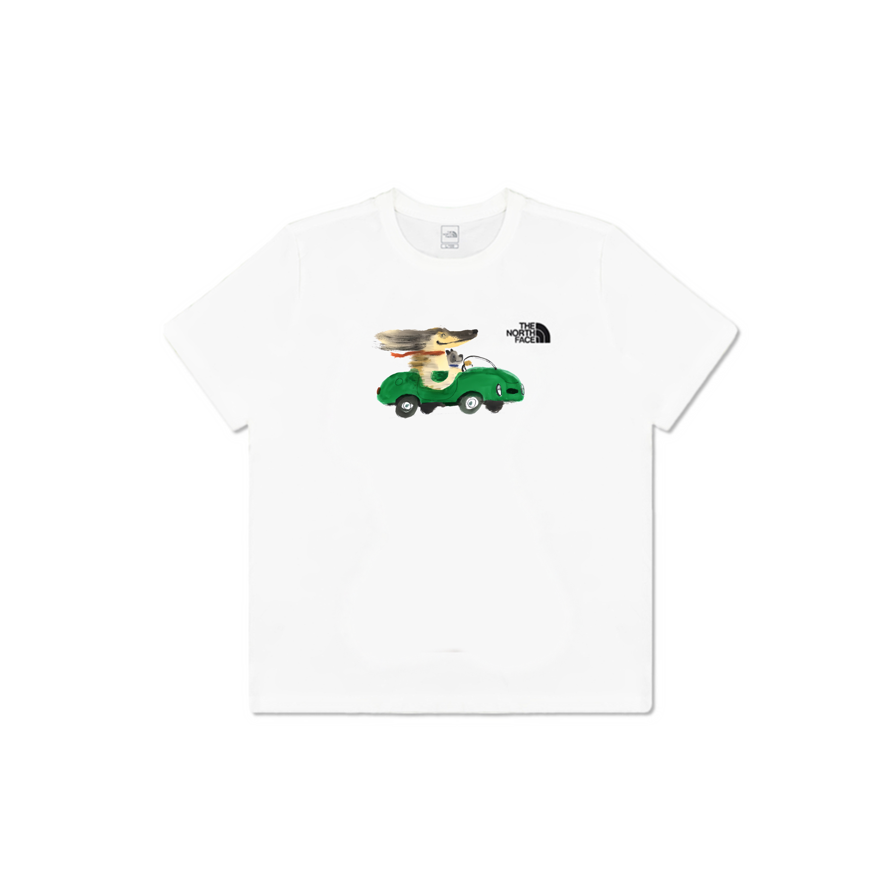 

THE NORTH FACE Футболка мужская белая, Белый, THE NORTH FACE Футболка мужская белая