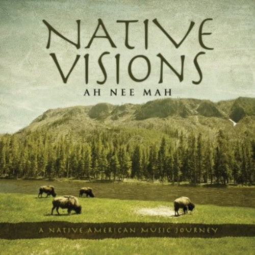 

CD диск Ah Nee Mah: Native Visions: A Native American Music Journey