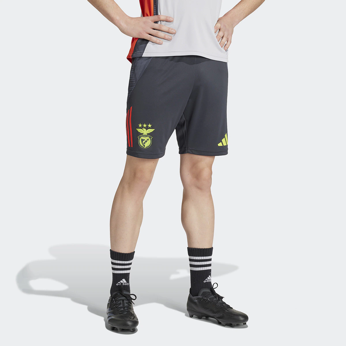 

Шорты мужские SL Benfica 2024/2025 Tiro24 Training Short adidas, серый