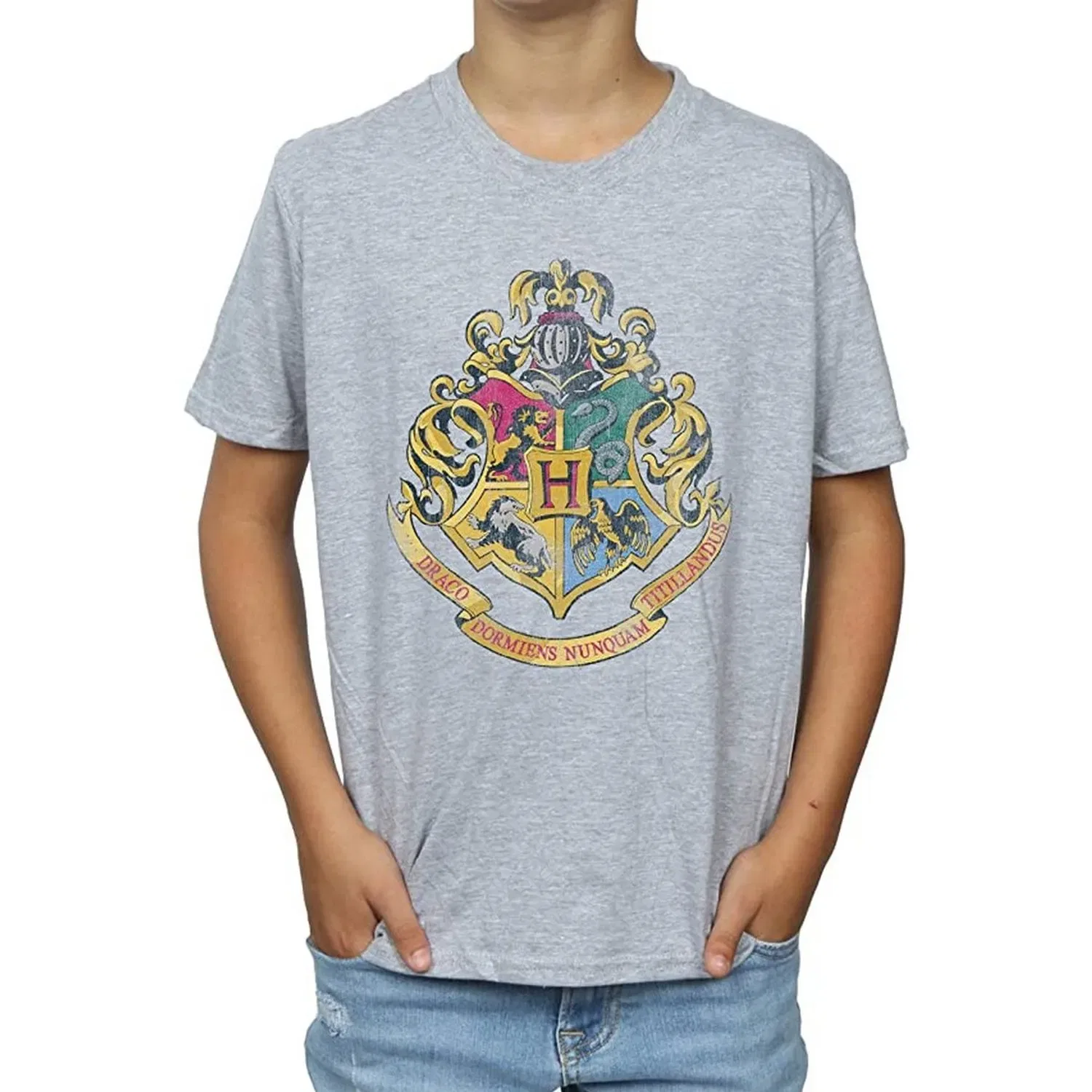 Футболка с принтом Hogwarts Crest Harry Potter, серый — фото 3