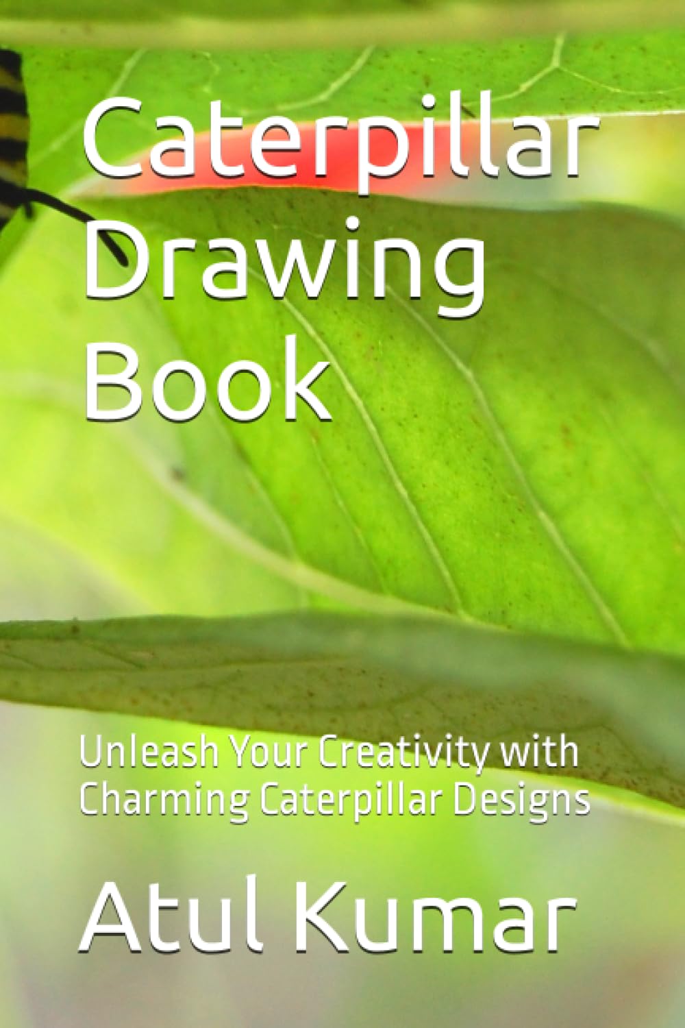 

Caterpillar Drawing Book: Unleash Your Creativity with Charming Caterpillar Designs