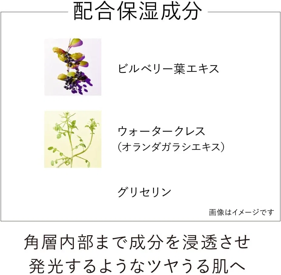 Эссенция Kanebo — Для лица On Skin Essence F (Refill) — фото 4