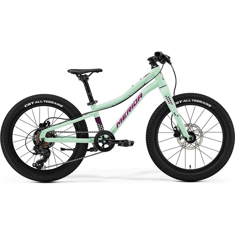

Детский велосипед Merida Matts J.20+, матовый мятный/фиолетовый