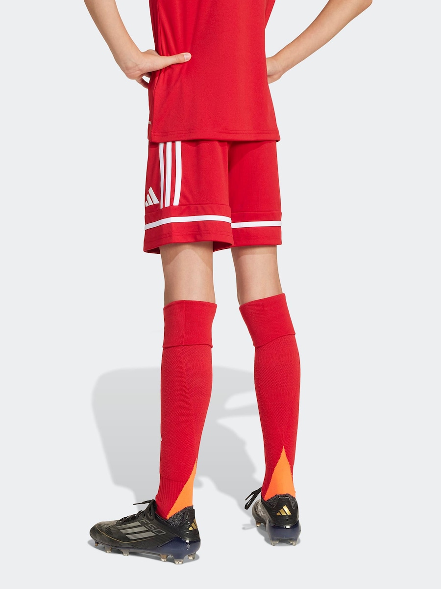Обычные спортивные штаны ADIDAS PERFORMANCE Squadra 25, Carmine Red — фото 4