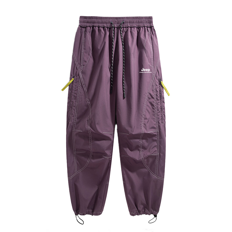 

Городские карго-штаны Unisex из коллекции City Casual Jeep, фиолетовый[thickened and fleece-lined]