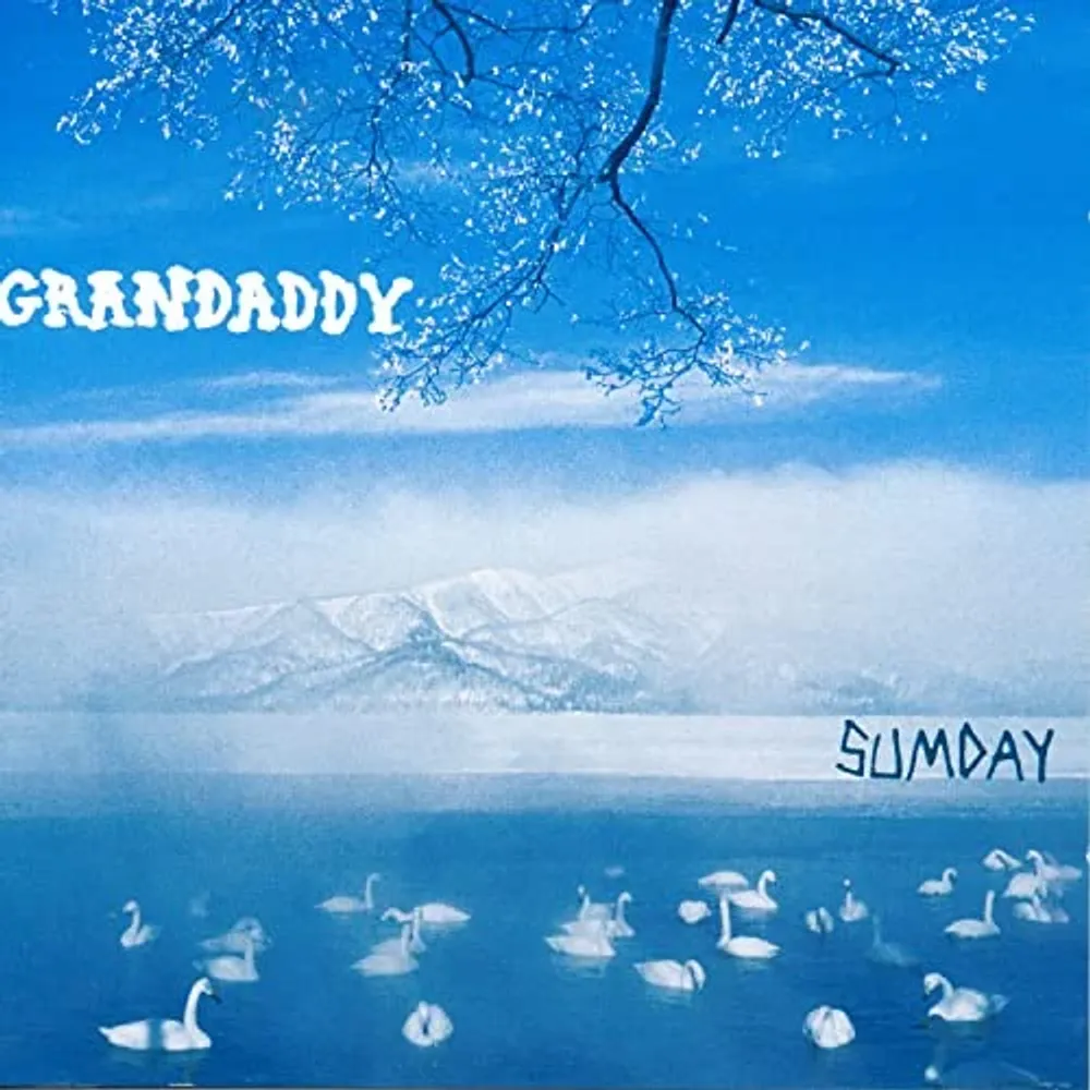 

Виниловая пластинка LP Sumday [White Vinyl] - Grandaddy