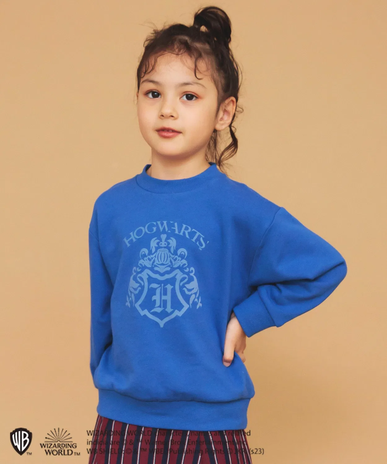 Толстовка с принтом домов Хогвартса Harry Potter x Branshes, синий