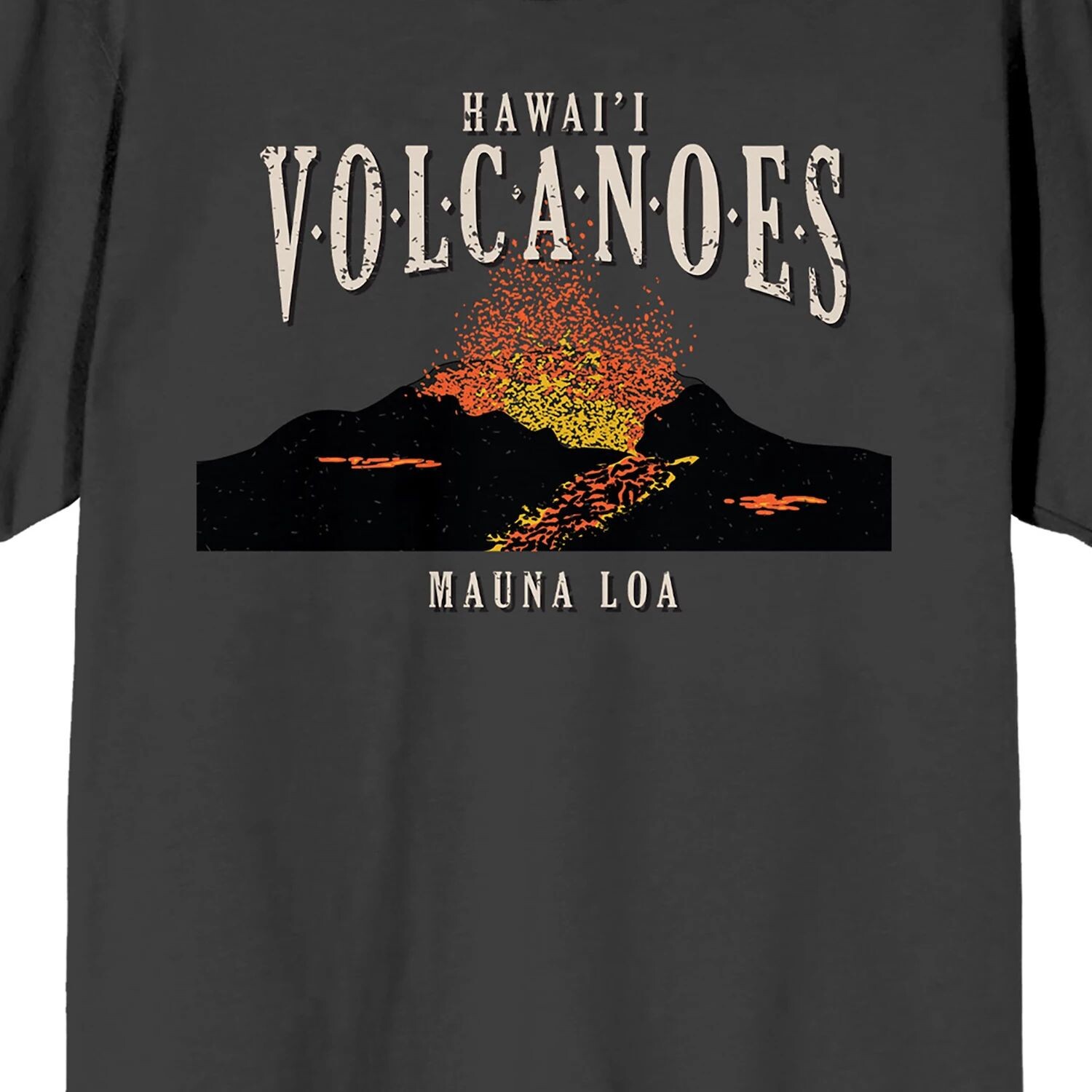 

Мужская футболка Adventure Society Hawaii Vacation Licensed Character