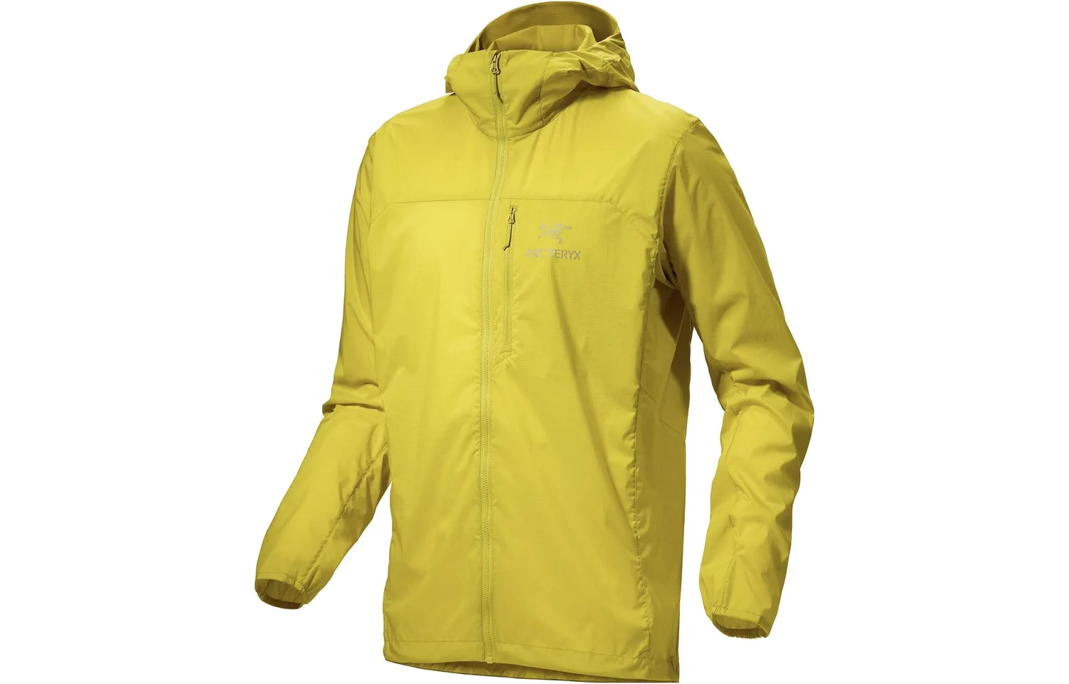 Толстовка Arc'teryx Squamish с капюшоном, Rock Green/Lampyre